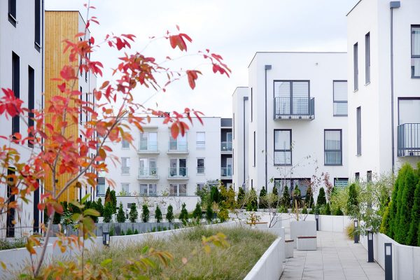 Sidewalk In A Cozy Courtyard Of Modern Apartment Buildings Condo