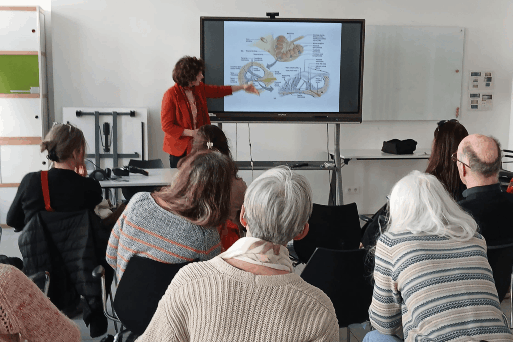 Balade sensorielle à Namur